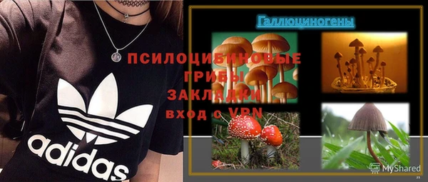 марки nbome Богородицк