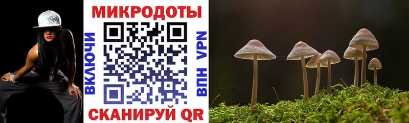 купить закладку  Александровское  Псилоцибиновые грибы мухоморы 